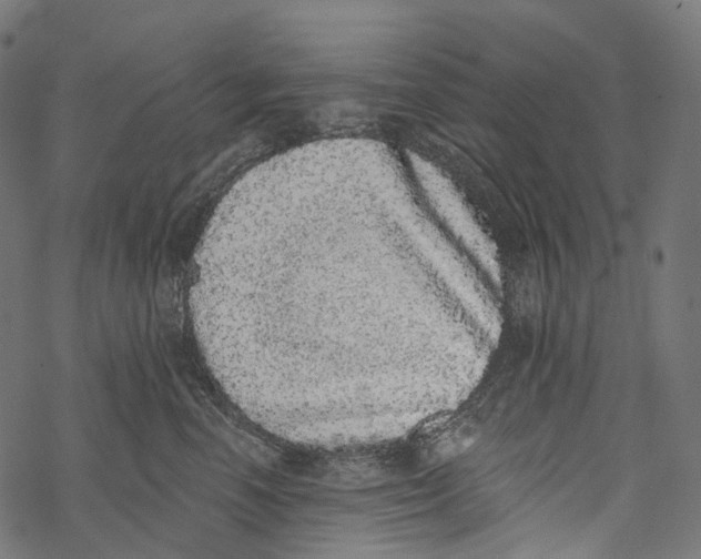 X0000067900666200605041619