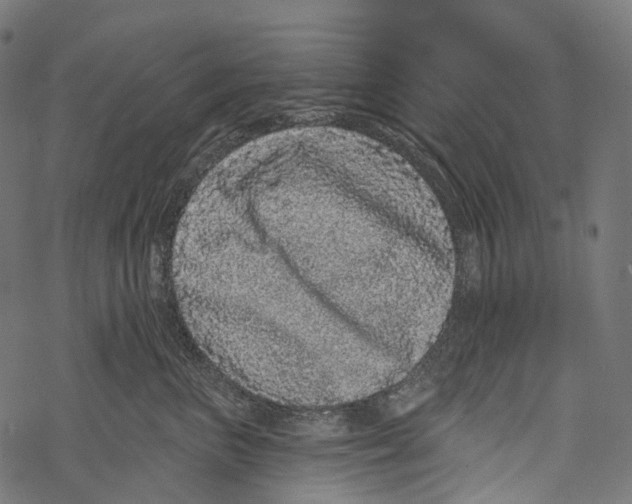 X0000067900667200605041619