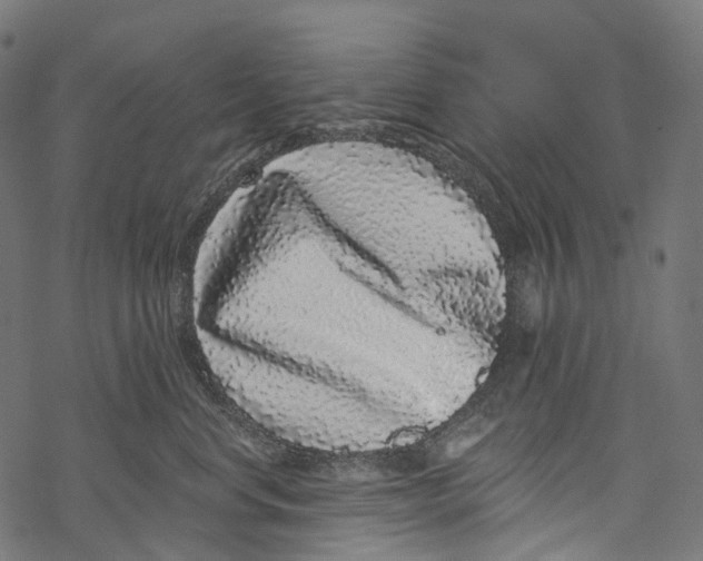 X0000067900668200605041619