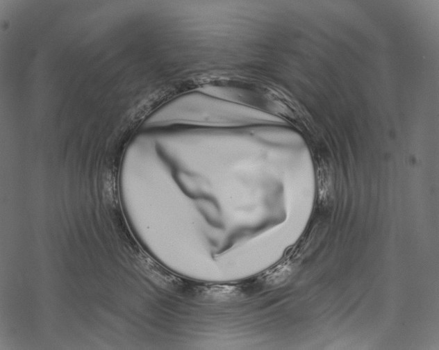 X0000067900669200605041619