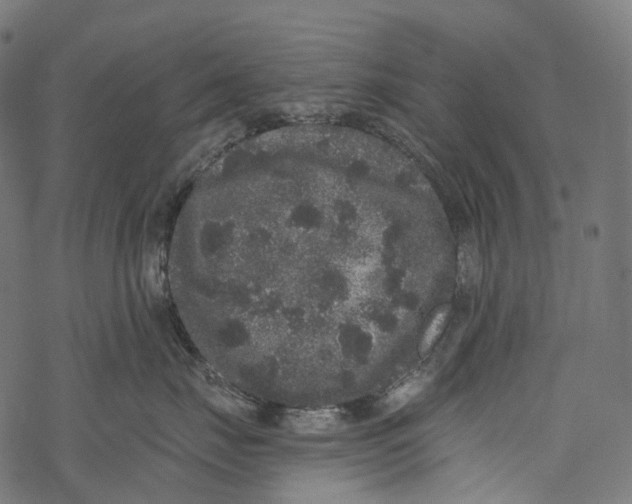 X0000067900671200605041619