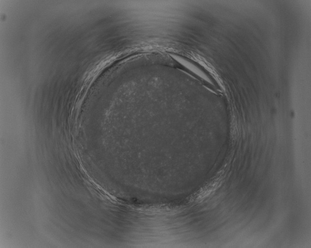 X0000067900673200605041618