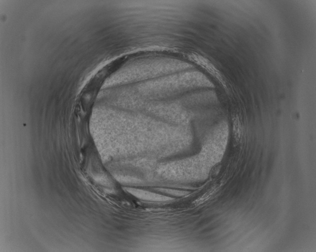 X0000067900676200605041618