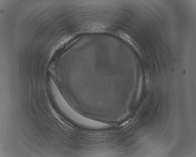 X0000067900677200605041618