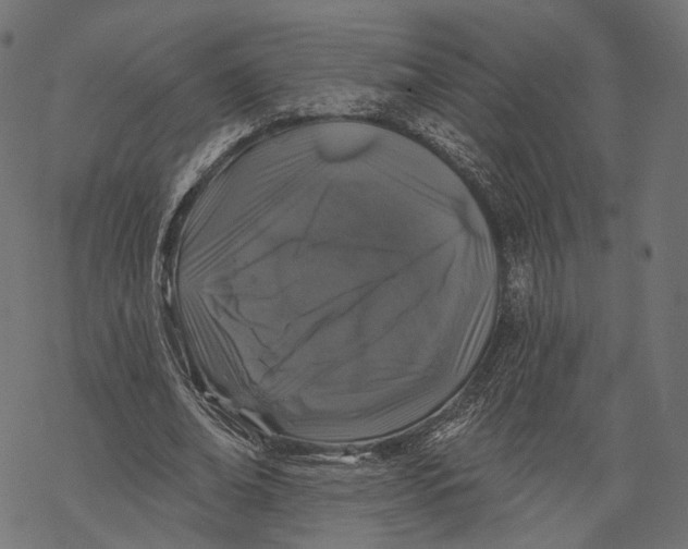 X0000067900678200605041618