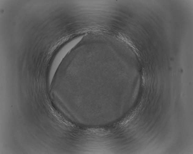 X0000067900681200605041618