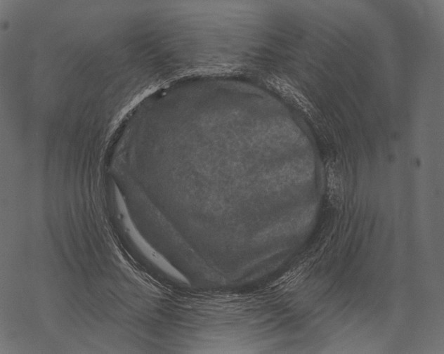 X0000067900684200605041618