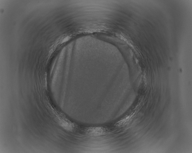 X0000067900685200605041618