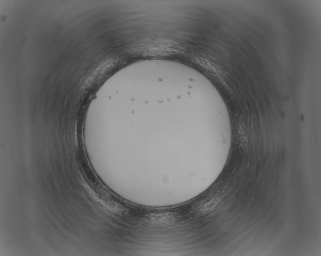 X0000067900686200605041618