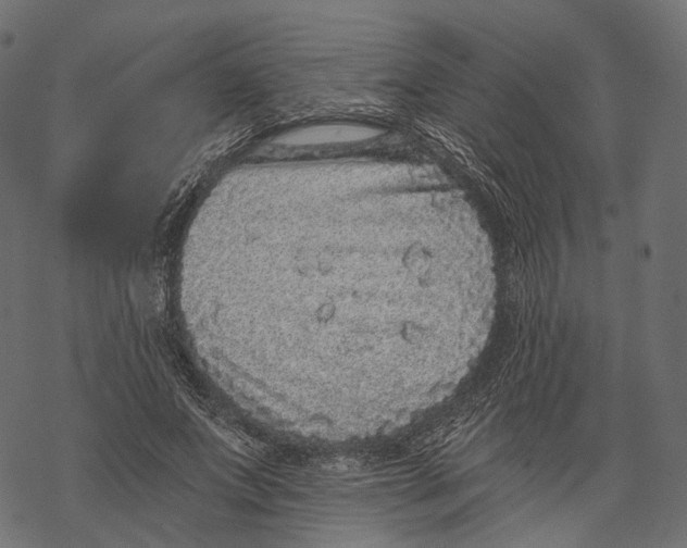 X0000067900687200605041618