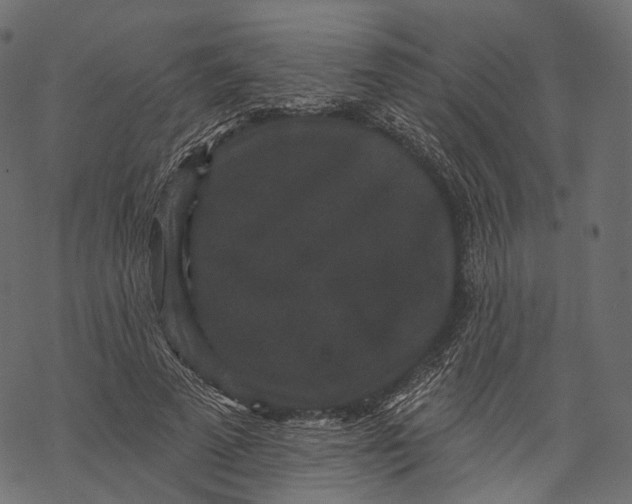 X0000067900689200605041618