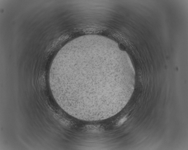 X0000067900690200605041618