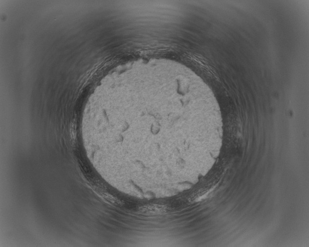 X0000067900691200605041618