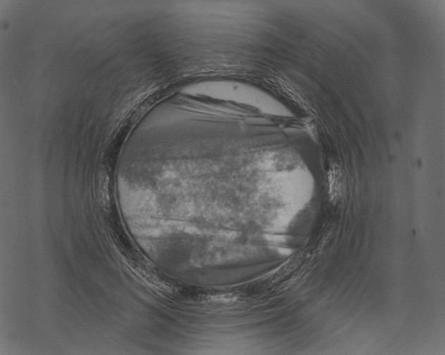 X0000067900692200605041618