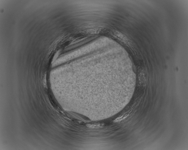 X0000067900693200605041618