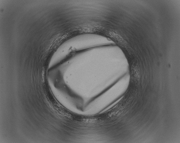 X0000067900694200605041618