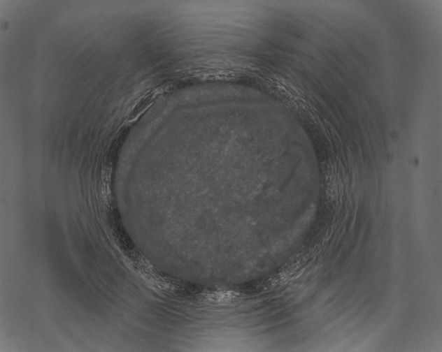 X0000067900695200605041618