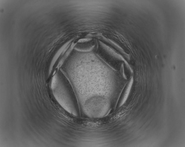 X0000067900697200605041618