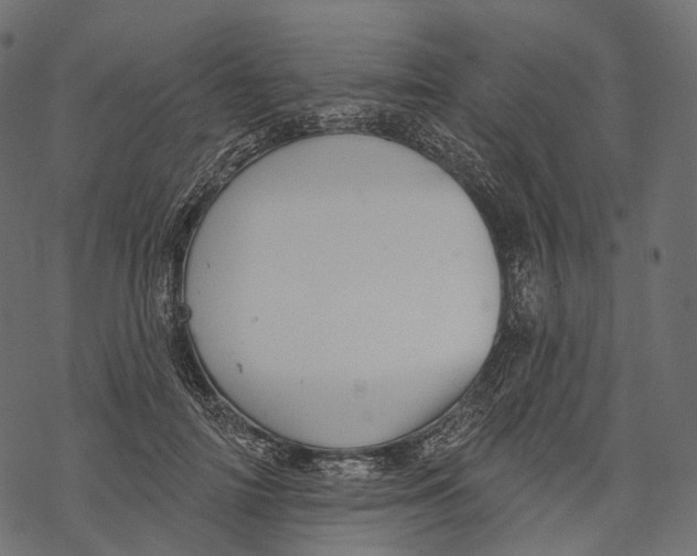 X0000067900698200605041618