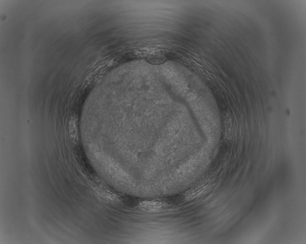 X0000067900699200605041618