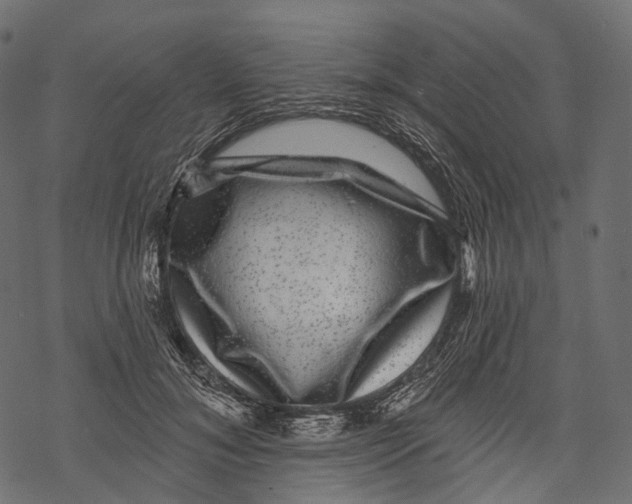 X0000067900700200605041618