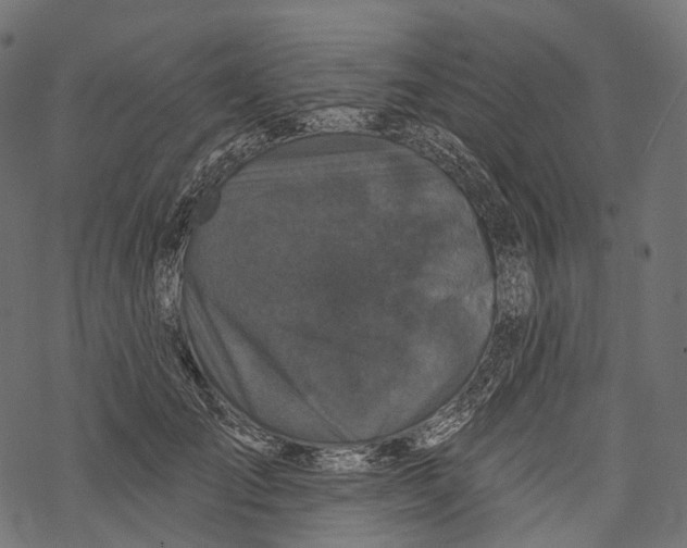 X0000067900701200605041618