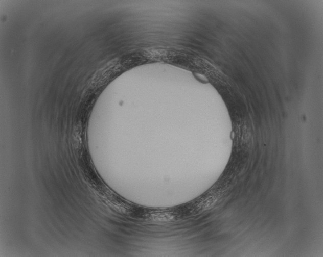 X0000067900702200605041618