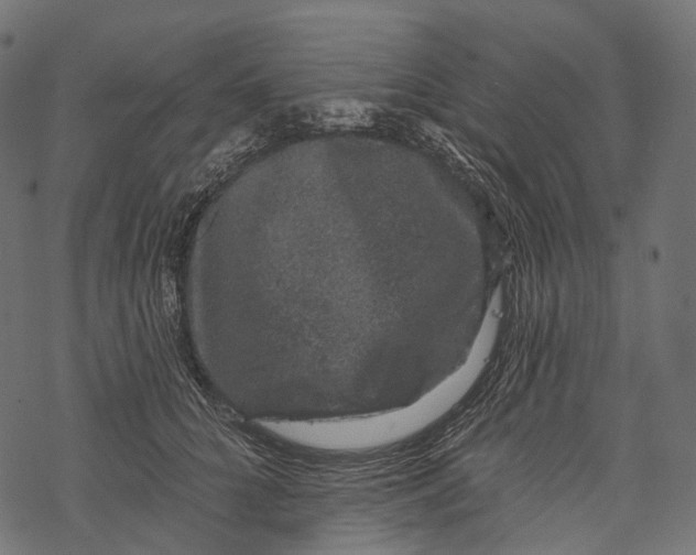 X0000067900704200605041618