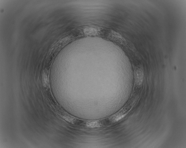 X0000067900705200605041618