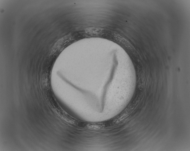 X0000067900706200605041618