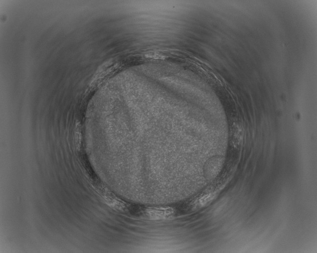 X0000067900707200605041618