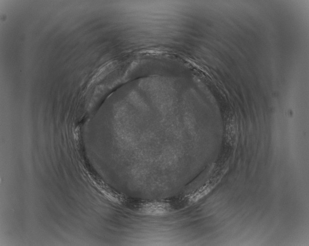 X0000067900708200605041618