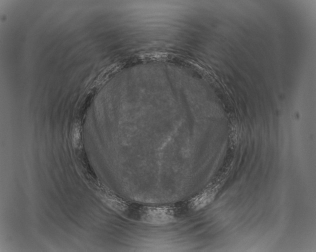 X0000067900709200605041618