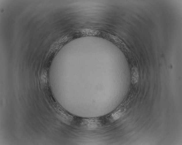 X0000067900713200605041618