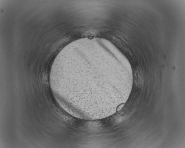 X0000067900714200605041618