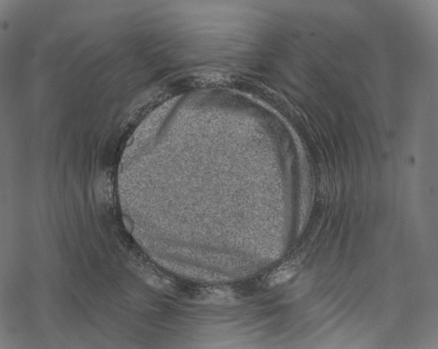 X0000067900715200605041618