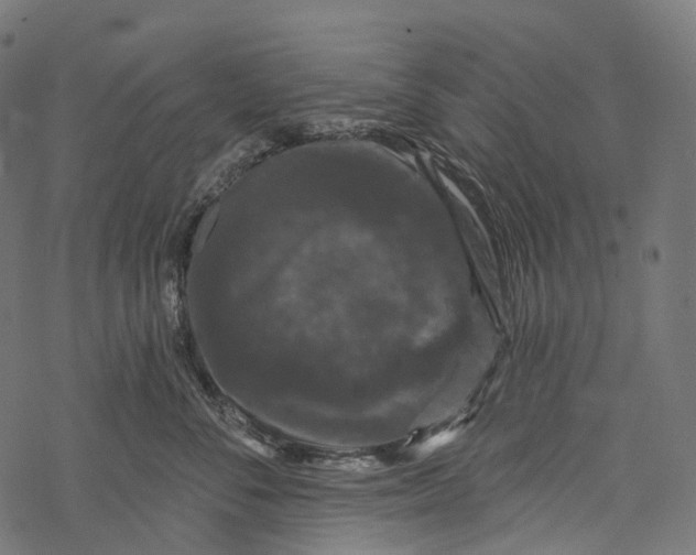 X0000067900716200605041618