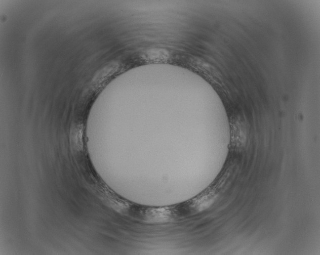 X0000067900717200605041618