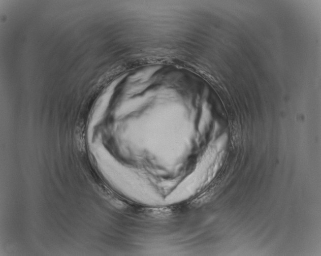 X0000067900719200605041618