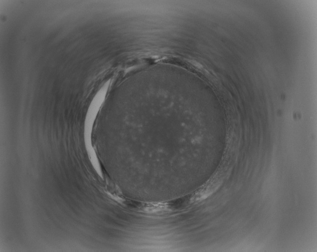 X0000067900720200605041618