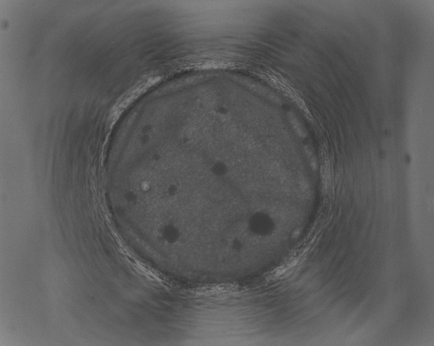 X0000067900721200605041617