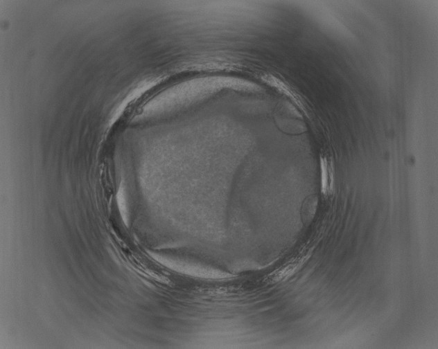 X0000067900723200605041617