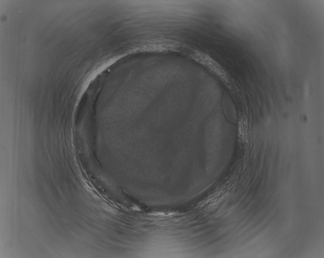 X0000067900724200605041617