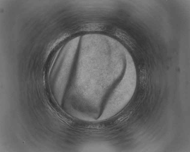 X0000067900727200605041617