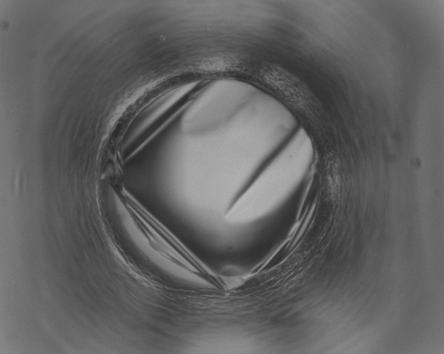 X0000067900728200605041617