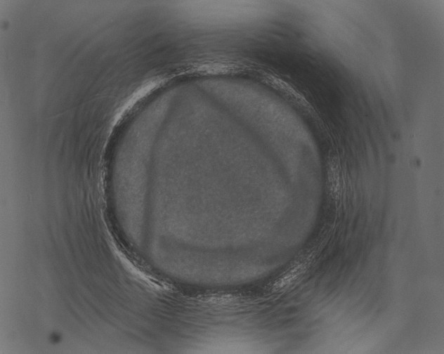 X0000067900730200605041617