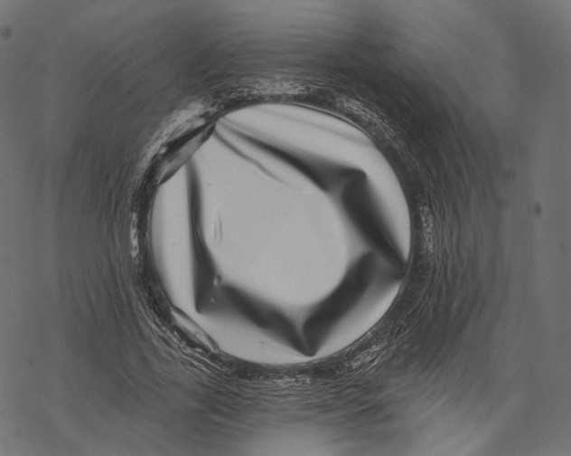 X0000067900731200605041617