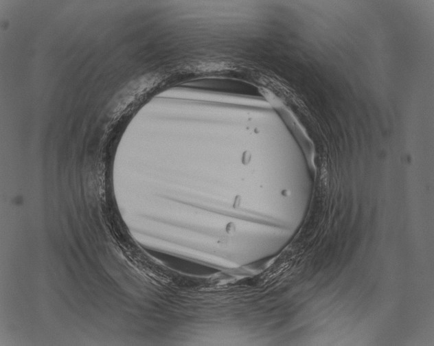 X0000067900732200605041617