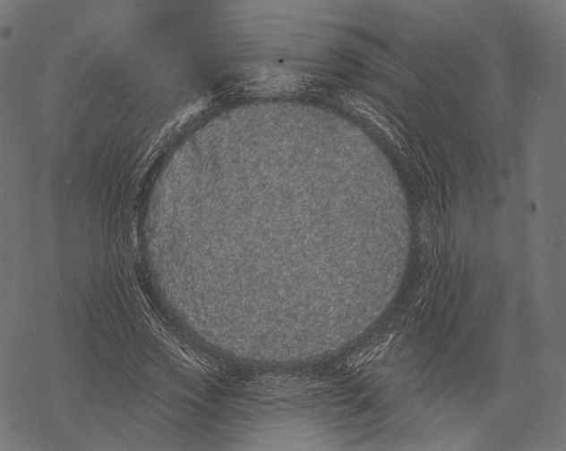 X0000067900733200605041617