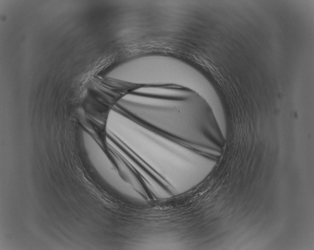 X0000067900735200605041617